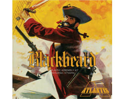 Blood Thristy Blackbeard the Pirate 1/10 photo