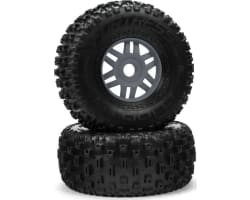 dBoots FoRTRess Tyre Set Glued gunmetal Pair 17mm Mojave photo