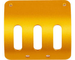 RC10 Motor Guard Gold photo