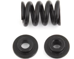 B6.1 Slipper Spring photo