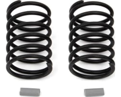 FT Gray Springs 15.0lb RC10TC7 photo