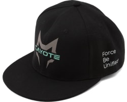 Snapback Flatbill Hat (Black) (One Size Fits Most) photo