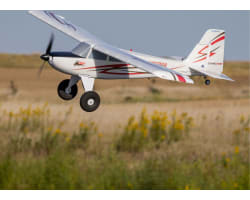 Timber 10-year Anniversary Edition BNF Basic photo