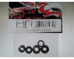 Replacement Bearing Set for Eec2000 photo