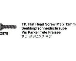 Flat Head Screw 3x12 RS4 Pro (10) photo