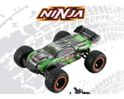 Ninja 1/16th Scale brushless RTR 4WD Truggy Green photo