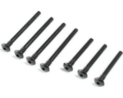 Inner/Outer Hinge Pin Screw Set: V100 photo