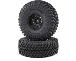 Nitto Trail Grappler KMC Wheel 2 : Hammer Rey photo