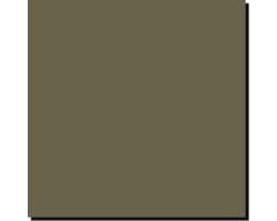 Acrylic Model Paint 1 Oz Bottle Us Army Khaki Drab Od Fs 34088 photo