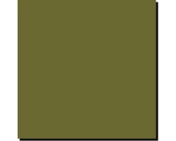 Acrylic Model Paint 1 Oz Bottle Us Army Olive Drab Fs 34088 photo