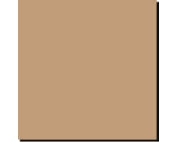 Acrylic Model Paint 1 Oz Bottle Us Desert Tan Modern Fs 33446 photo