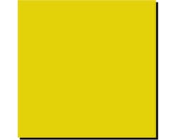 Acrylic Model Paint 1 Oz Bottle Yellow Zinc Chromate photo