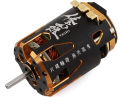 Shura Dual Sensor Port 540 brushless Sensored Motor (13.5t) (285 photo