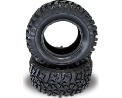 ROCK BEAST XL 3.8 Scale w/Zuper Komp w/Foam MT 2 photo