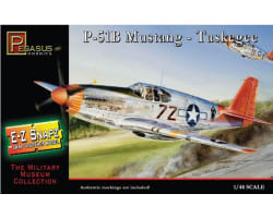 1/48 P51B Mustang Tuskegee Plastic Model photo