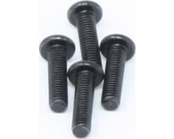 Hexagon Pan Head Machine Screw M3x12 (4) photo