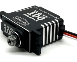 Raw 100 Mini Black Servo Programmable photo