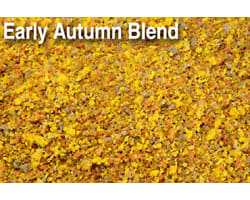 Early Autumn Blend 32oz photo