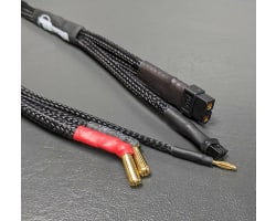 Charging Cable 2S 5mm/XT60 photo