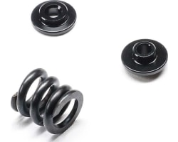 Slipper Spring Set: 22X photo