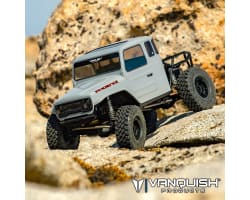 Vs4-10 Phoenix RTR - Grey photo