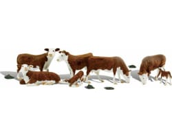 HO HereF0RD Cows photo