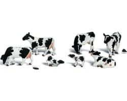 HO Holstein Cows photo