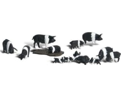 HO Hampshire Pigs photo