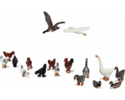 HO Geese and Chickens photo
