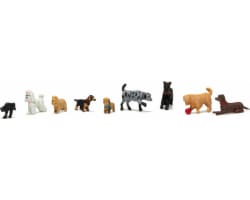 HO Dogs & Cat photo