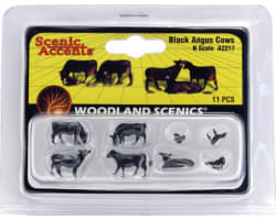 N Black Angus Cows photo