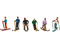 N Snow Skiers photo