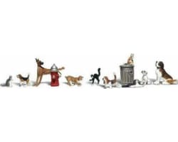 O Dogs & Cats photo