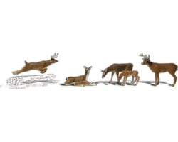 O Deer photo