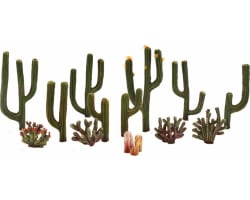 Classics Tree Cactus .5-2.5 13 photo