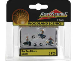 N Bad Boy Bikers photo