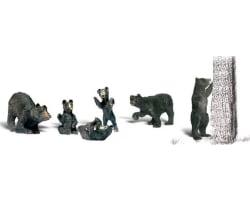 O Black Bears photo