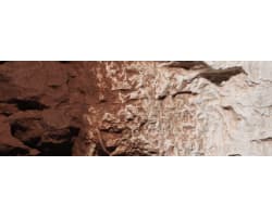 Earth Color Burnt Umber 4oz photo