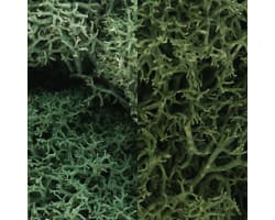 Lichen Bag Light Green Mix/165 cu. in. photo