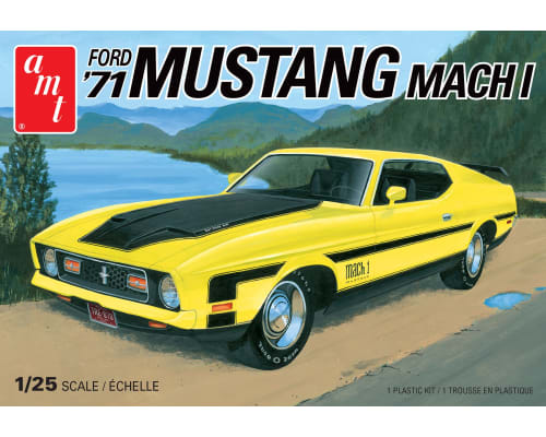 1971 F0RD Mustang Mach I 1:25 photo