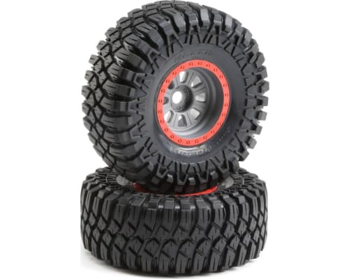 Maxxis Creepy CrawlerLT SilverMntd 2 :SuperRockRey photo