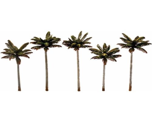 Classics Tree Palm 3-3.75 5 photo