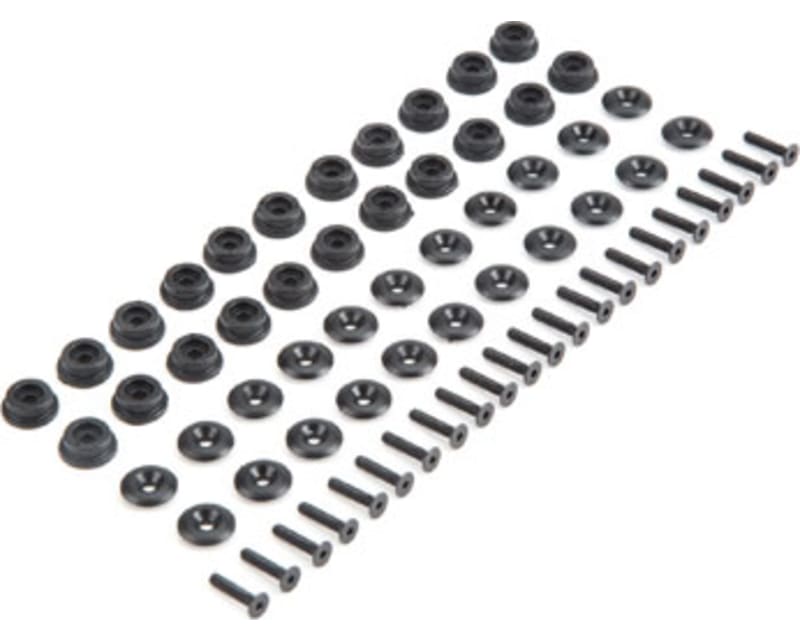 Body Button Base & Top 22 : Baja Rey