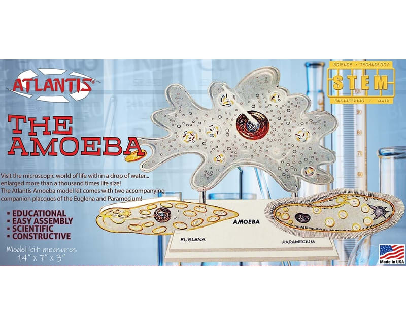 Amoeba Single Cell Model Kit STEM Plastic Model Kit