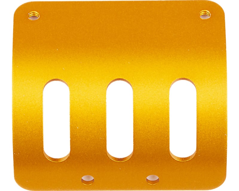RC10 Motor Guard Gold