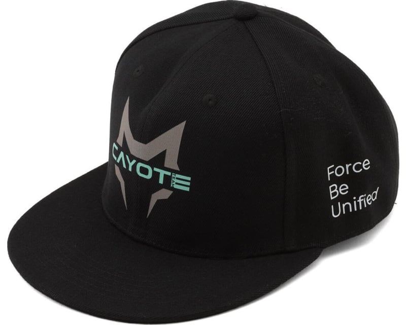 Snapback Flatbill Hat (Black) (One Size Fits Most)