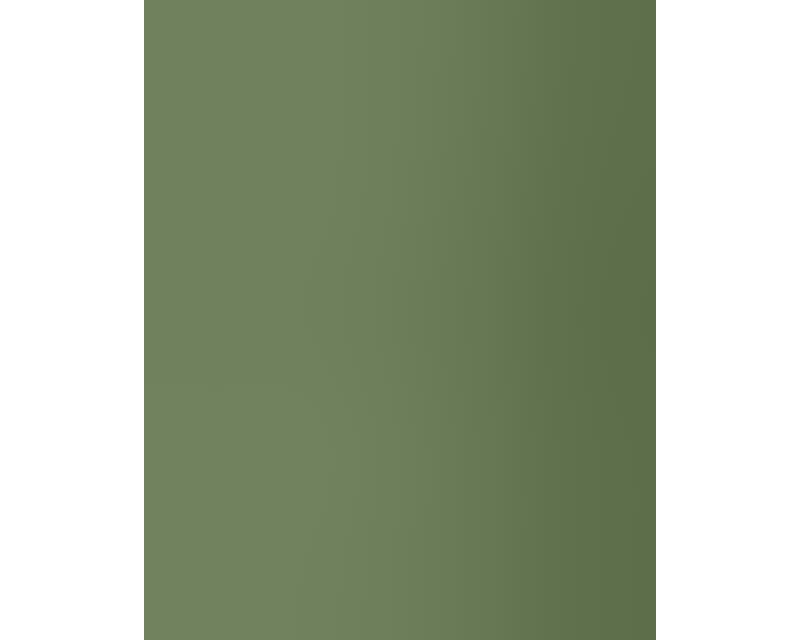 Acrylic Model Paint 1 Oz Bottle Russian Dark Olive Faded Fs 34