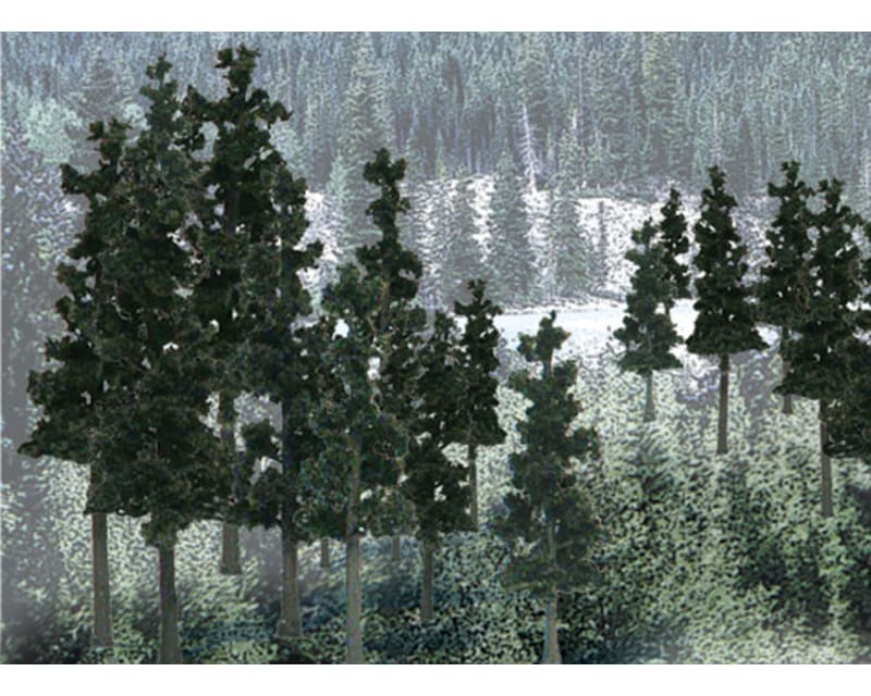 Value Trees Conifer 4-6 24