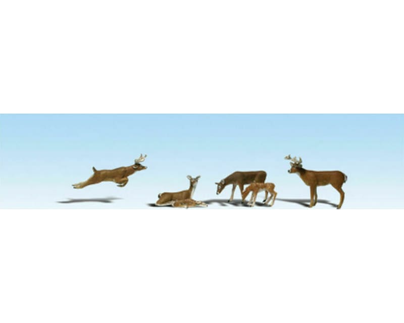 HO Deer photo