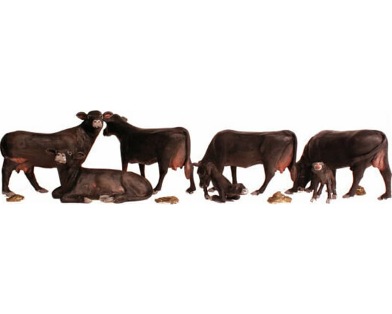 HO Black Angus Cows photo